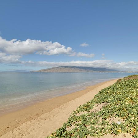 Kihei Haven At Village By The Sea, Steps To Beach! Exteriör bild